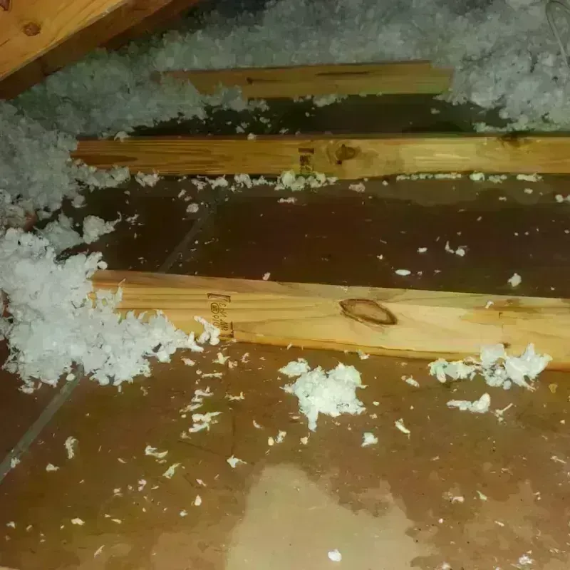 Attic Water Damage in Preston, TX