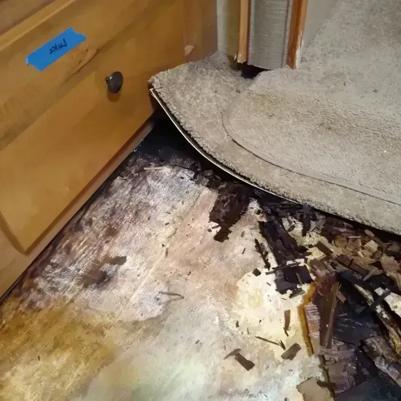 Wood Floor Water Damage in Preston, TX